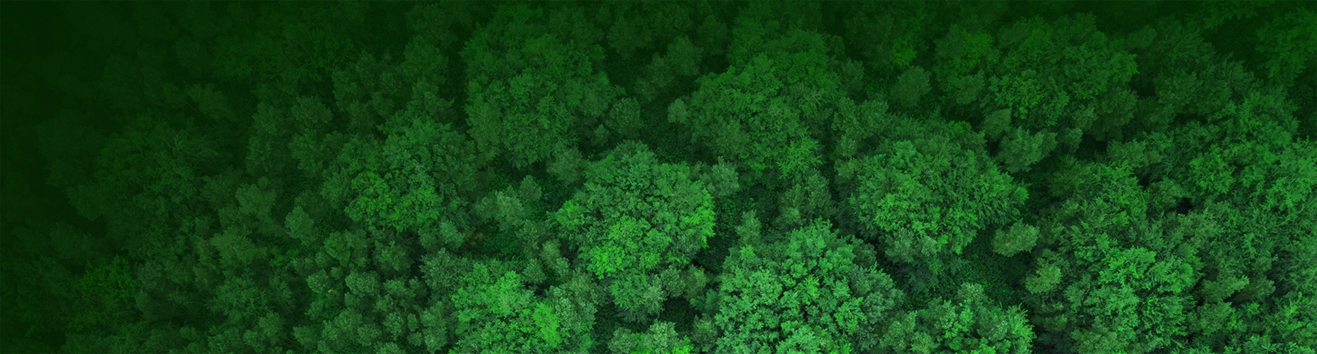 Sustainability--BANNER